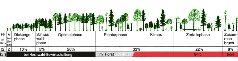 Grafik Urwaldzyklen